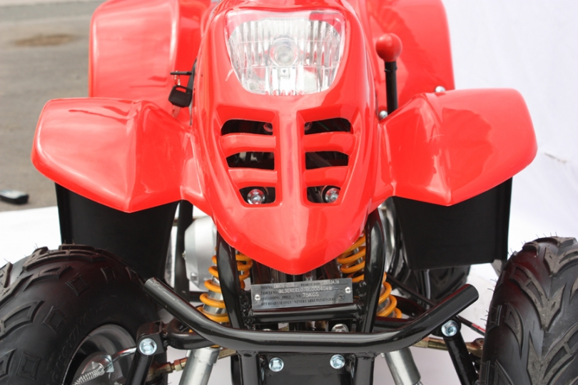 junior quad bikes for sale